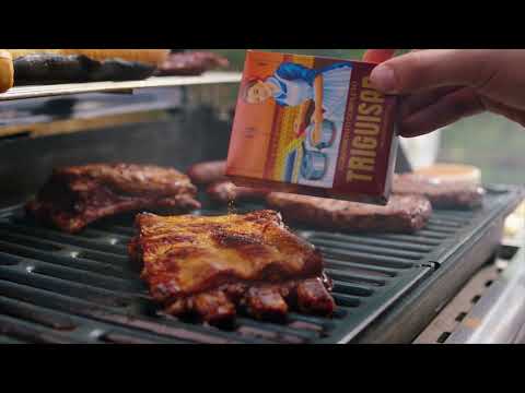 Triguisar Condimento en Polvo 