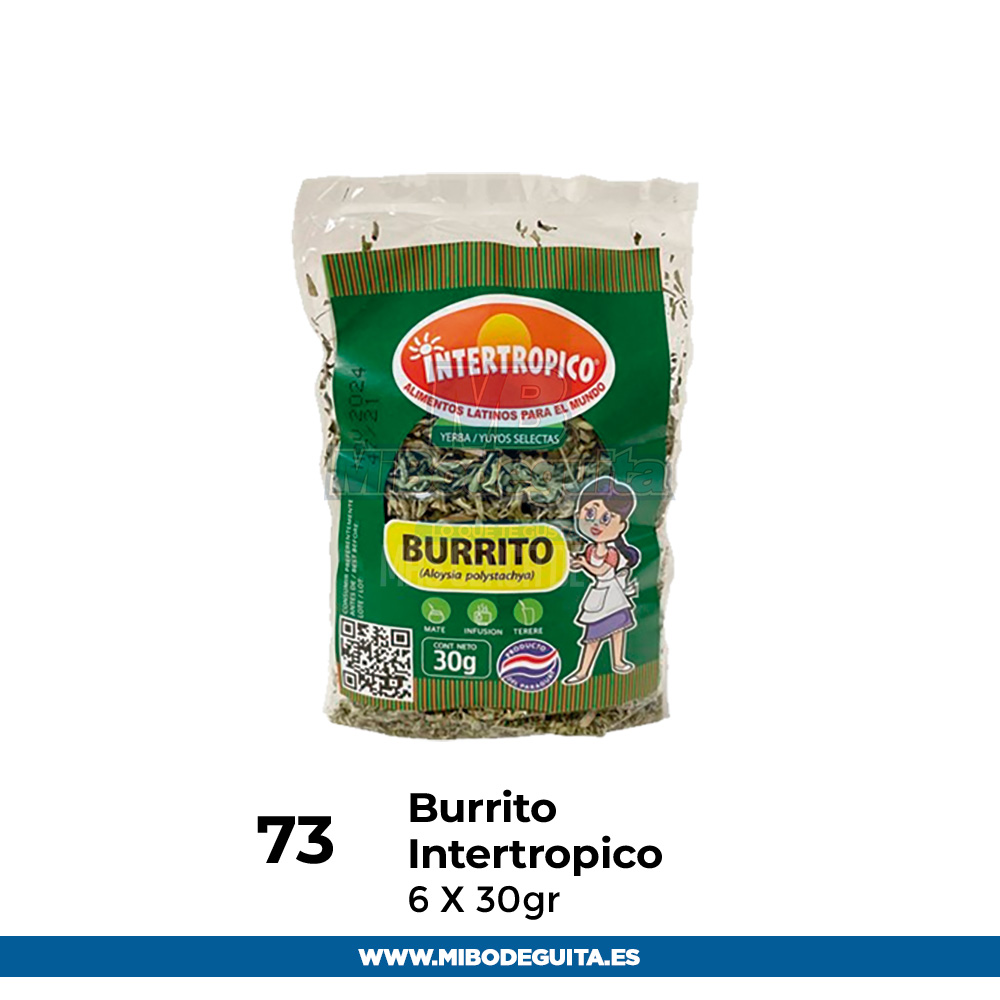 Intertropico Burrito