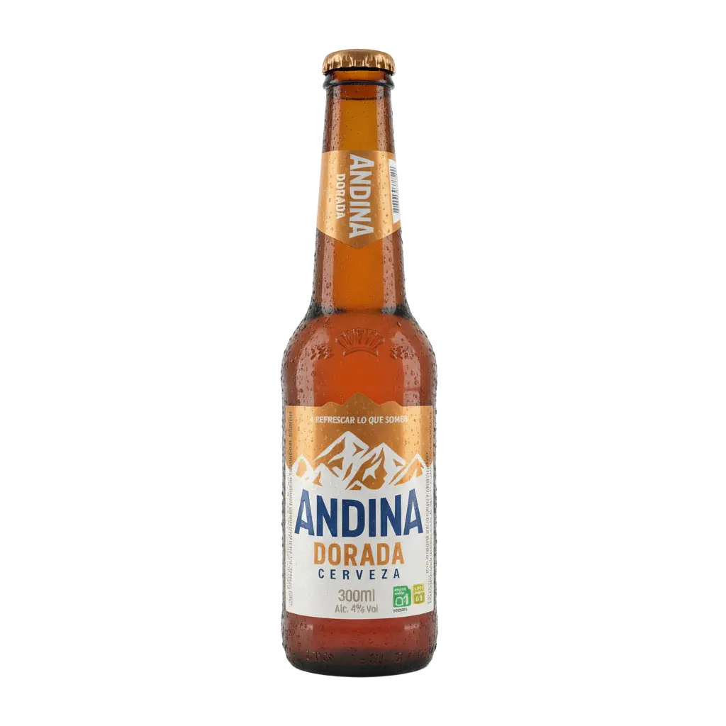 CERVEZA ANDINA BOTELLA 300ML X 12