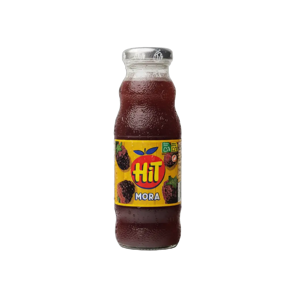 JUGO HIT MORA 237 ML X 24