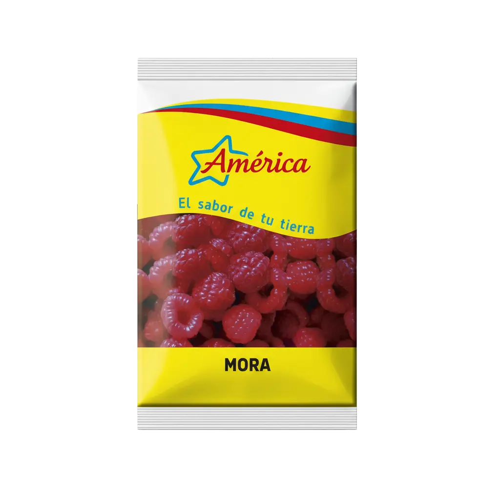 MORA ENTERA CONG. AMERICA 500g Cx8