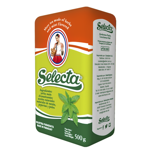 YERBA SELECTA MENTA 500g Cx10