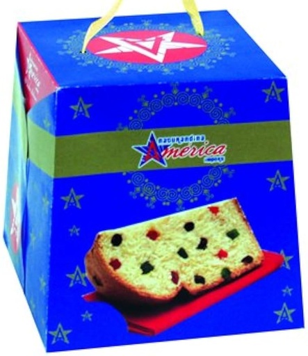 PANETON AMERICA  900g Cx16