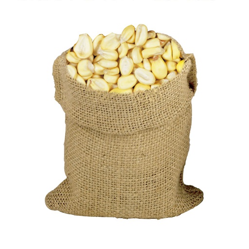 SACO MAIZ TOSTAR CANCHA X 25 Kg