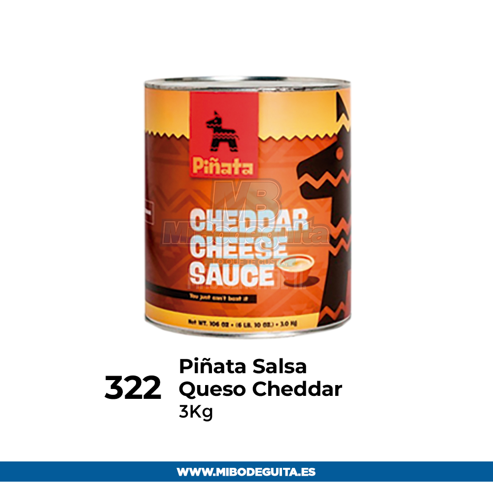 Salsa Queso Cheddar Piñata