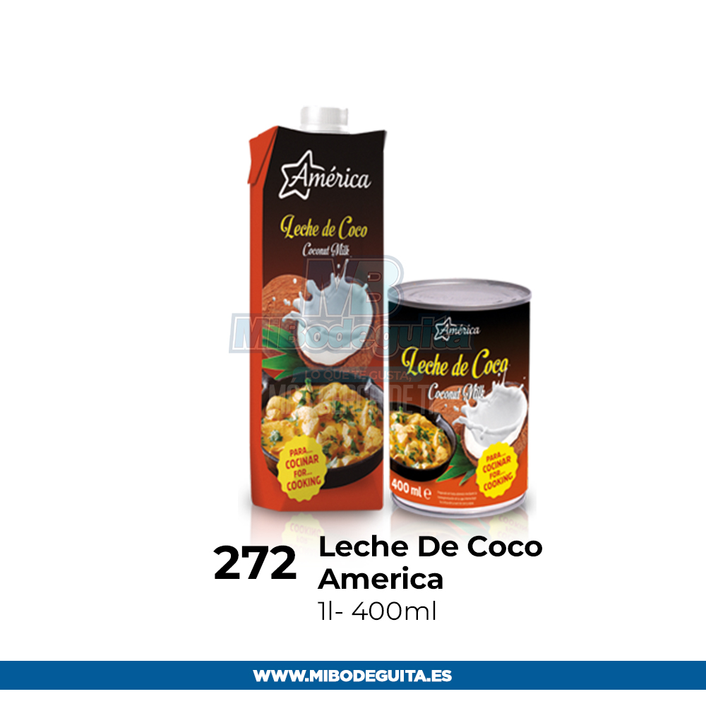 Leche de coco America